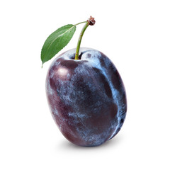 plum