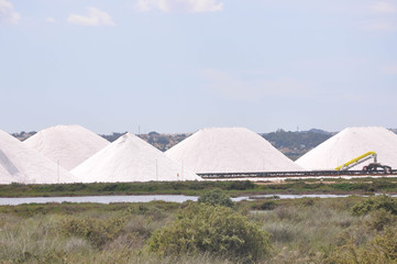 Snow-white sea salt extracted from the Mediterranean Sea in southern Spain.