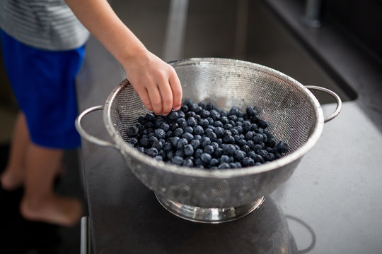 Boy picking blueberry from seive 