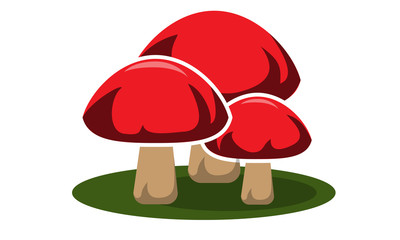 Три гриба на зеленой поляне