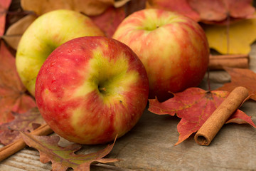 apples, Cinnamon Sticks and Fall leaves © Carol