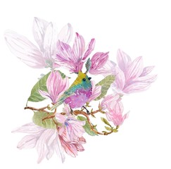 Obraz premium Beautiful watercolor magnolia flowers