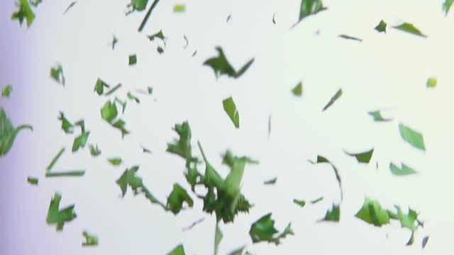 Green parsley is flying on a white background