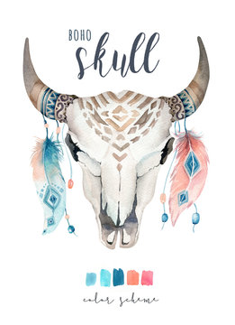 Watercolor bohemian cow skull.  Western mammals. Watercolour hipster deer boho decoration print antlers. flowers, feathers. Isolated on white background. Boho style.  Hand drawn ethnic themed design.