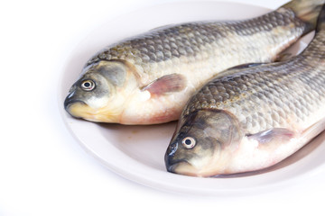 Fresh carp on a plate