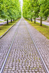 tram rails in the lime avenue