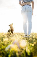 beautiful young playing with her dog