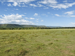 View on savanna plain before mountains against cloudy sky background. Lake Manyara National Park, Tanzania, Africa. 
