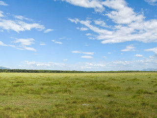 Fototapeta na wymiar View on savanna plain against cloudy sky background. Lake Manyara National Park, Tanzania, Africa. 
