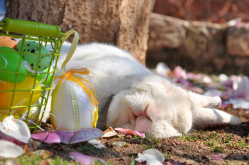 Easter bunny get rest next to a Easter eggs. Easter bunny and Easter eggs under the tree