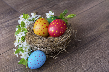 colorful easter eggs with dots in real nest with cherry blossoms on a  wooden background. Easter decoration 