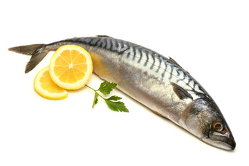 atlantic mackerel fish with lemon isolated on white background