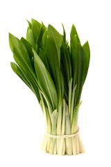Ramsons (Wild Garlic) isolated on a white background. Food series.