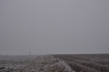 Feld im Winter