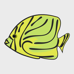 Icon reef fish.