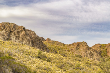 Miradores de Darwin Landscape, Argentina