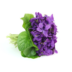 Bouquet de violettes