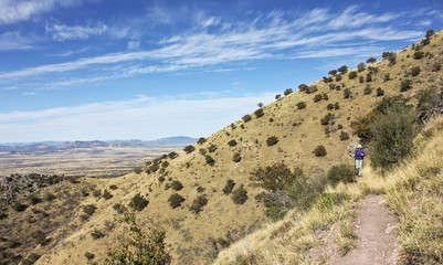 A Hiker on the Huachuca Mountain Crest Trail