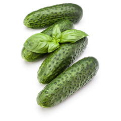 Cucumber vegetable and basil leaves isolated on white background cutout