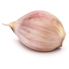 One garlic clove isolated on white background cutout