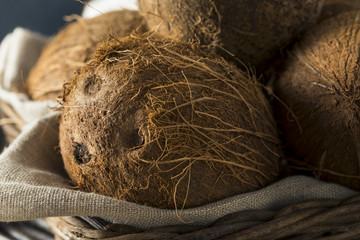 Raw Organic Tropical Brown Coconuts