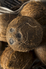 Raw Organic Tropical Brown Coconuts