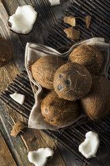 Raw Organic Tropical Brown Coconuts