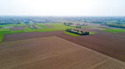 Natura e paesaggio: vista aerea di un campo, coltivazione, prato verde, campagna, agricoltura, alberi