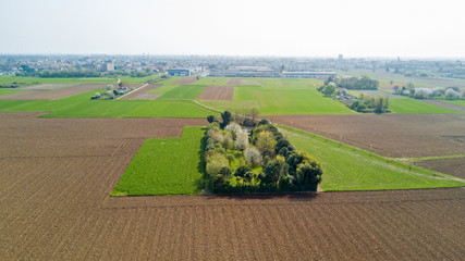 Natura e paesaggio: vista aerea di un campo, coltivazione, prato verde, campagna, agricoltura,...