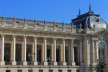 Fototapeta na wymiar Paris, le petit Palais