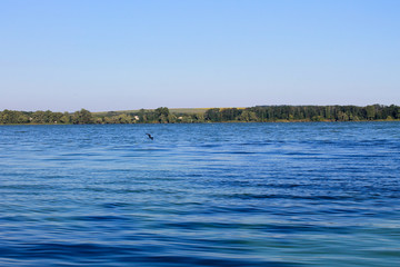 Beautiful lake on summer