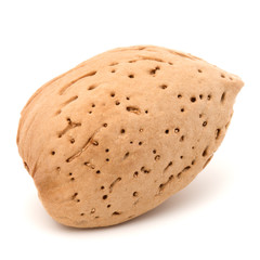 Almond nut in shell isolated on white background close up