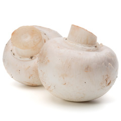 Champignon isolated on white background cutout
