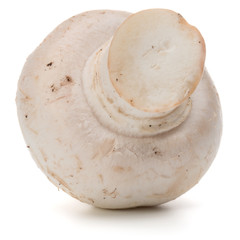 Champignon isolated on white background cutout