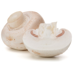 Champignon isolated on white background cutout