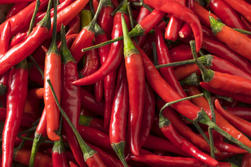 Raw Organic Red Thai Peppers