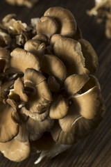 Raw Organic Maitake Mushrooms