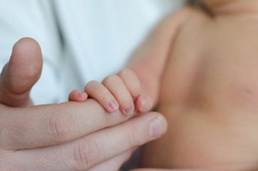 Father holds the hand of a newborn baby boy © seredalia