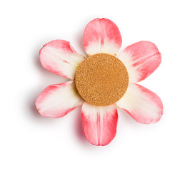 Foundation cushion on six pink petals isolated on white background.