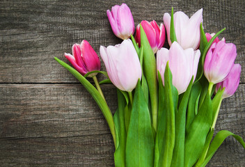 Spring tulip flowers