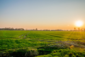 Fototapeta na wymiar sunset in Europe Germany with a green field