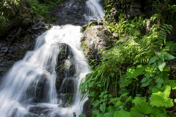 Waterfall on mountain river in Carpathian Mountains , Romania