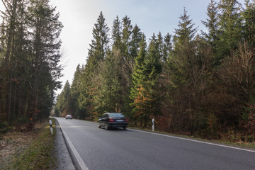 Wald und Straße: Auto bewegt sich schnell