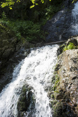 Waterfall on mountain river in Carpathian Mountains , Romania
