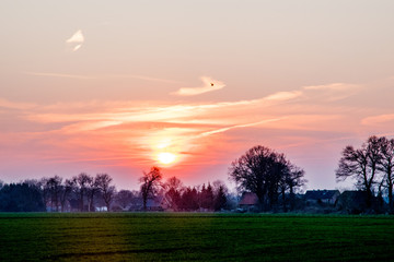 Fototapeta na wymiar sunset in Europe Germany with a green field