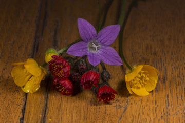 Wild flowers isolated on wood table