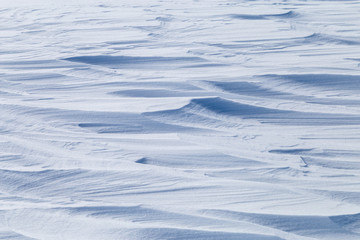 Image with a snowy texture