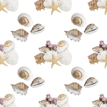 Seamless Repeating Pattern Of Seashells