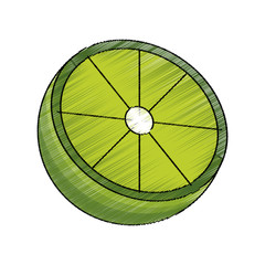 lemon acid fruit icon over white background. vector illustration
