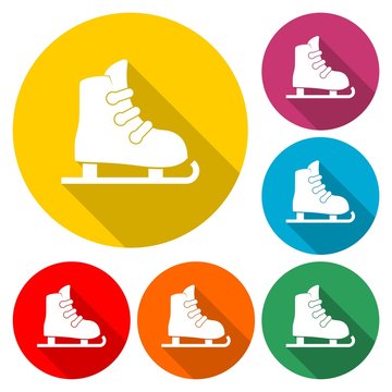 Skate web icon - Illustration